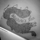 ShadowsFox