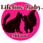 mikuni002