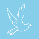 FlyingBirds