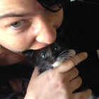 EdgarAllanPurr
