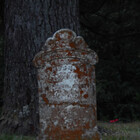ianwoodard