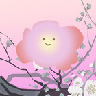 the-cute-one
