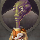 shrunkendesigner