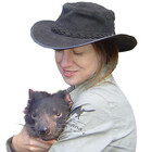 jenzart