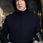 zobobaggins