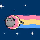 donut-cat