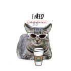 CatwithSpecs