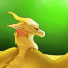 DogDragon14