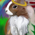 OUTCASTBUNNYS