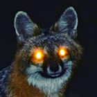 spookyfoxgirl13