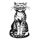 Kattcatty