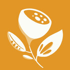 PapricaStudio