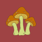 MushroomDweller