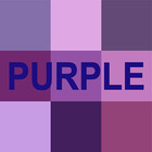 PURPLEDESIGNMA