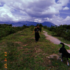 chaqui-nature