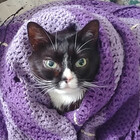 MysticMaggie