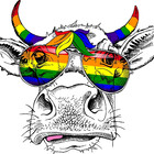 QueerCow