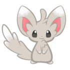 Minccino27