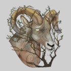 Speaks-Sheep