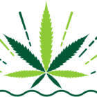 TheGreenLens