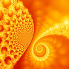 WildcatFractals