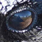 DWMMPhotography