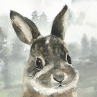 WildAliceArt
