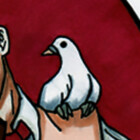 the-ChooK