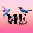 M567