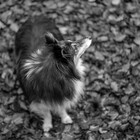 Robertsphotos