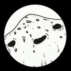 Madshroom