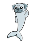 DolphinsDoodle