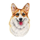 Samtaro