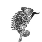 OkamiKhameleon