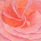 BasleeArtPrints