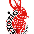 ExozigPrint