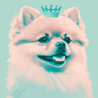 Redbubble profile picture for @macaws