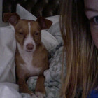 SophiePrincess