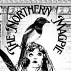 NorthernMagpie