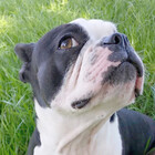 estherandaxle