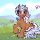FunkyWeeEquines