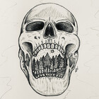 HavenArtworks