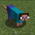 scumbigula