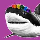 SharksnRainbows