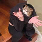 FrankkieC
