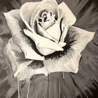 tbrassaiart