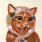 catffirmations