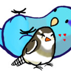 bird-nerd