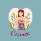 cosmea