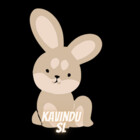 KavinduSL77